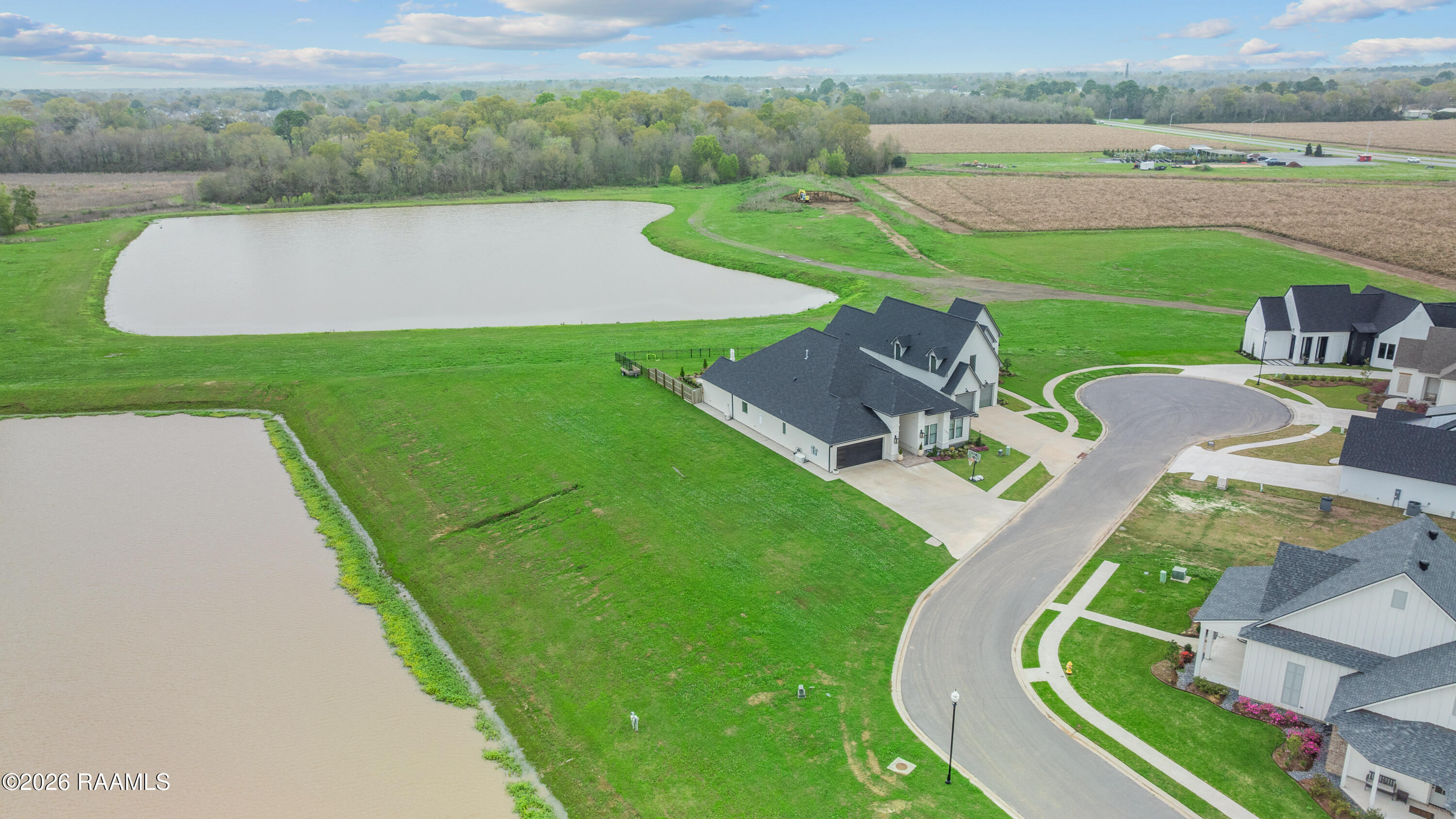 103 Sugar Cane Palm Circle