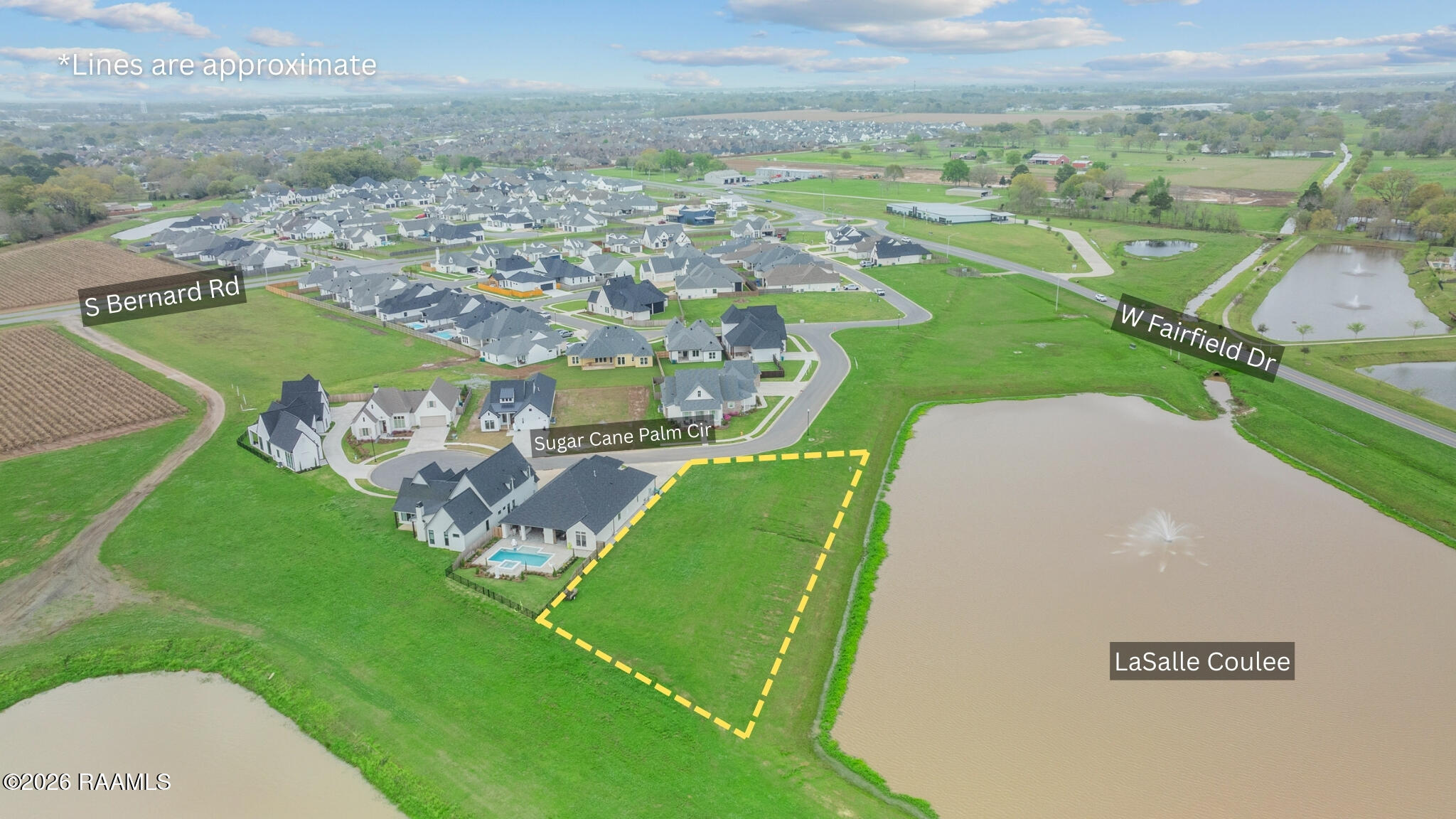 103 Sugar Cane Palm Circle