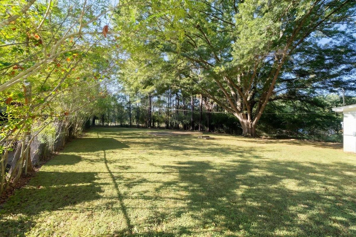 Spacious grassy backyard shaded by mature trees, with a fence along the left side.