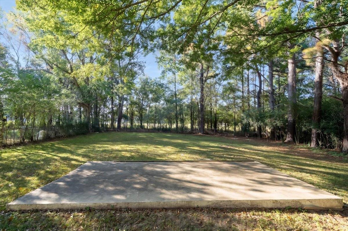Grassy backyard with a broad concrete pad beneath mature trees.
