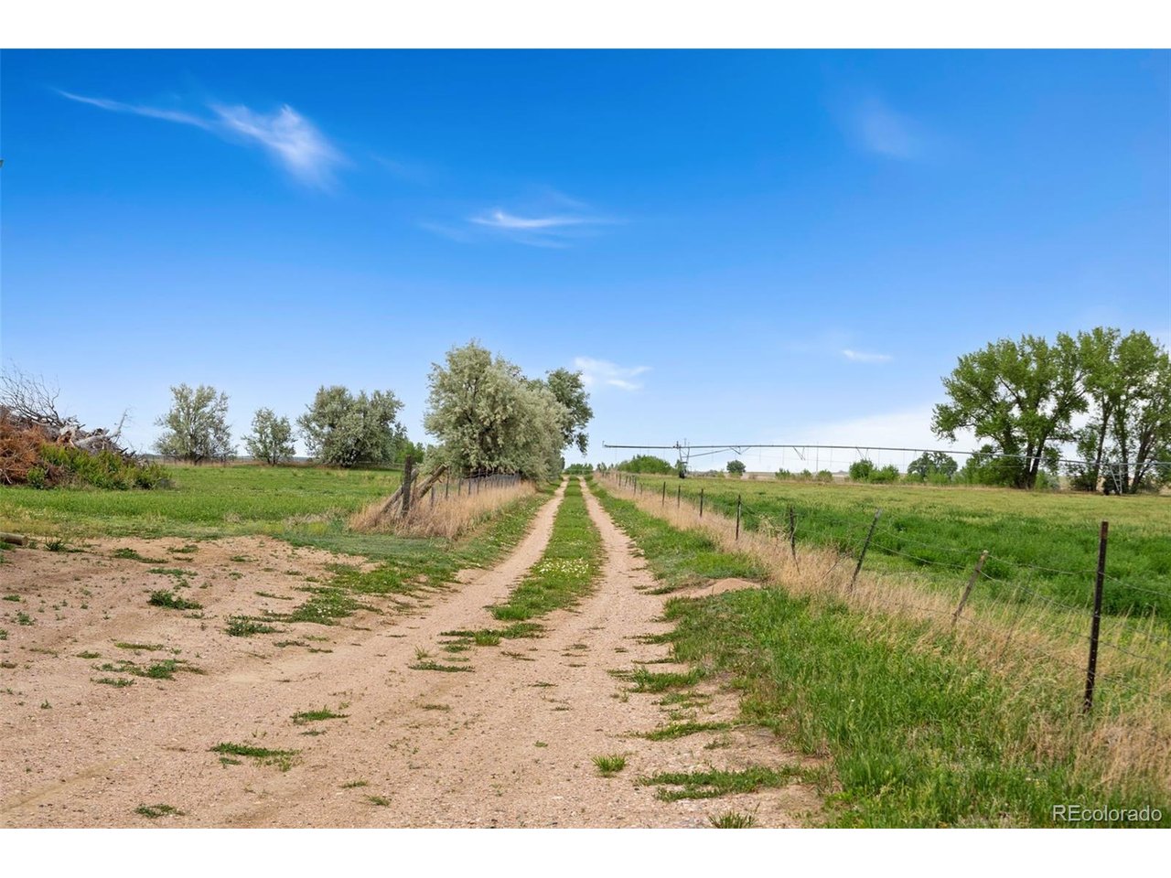 10545 Highway 14