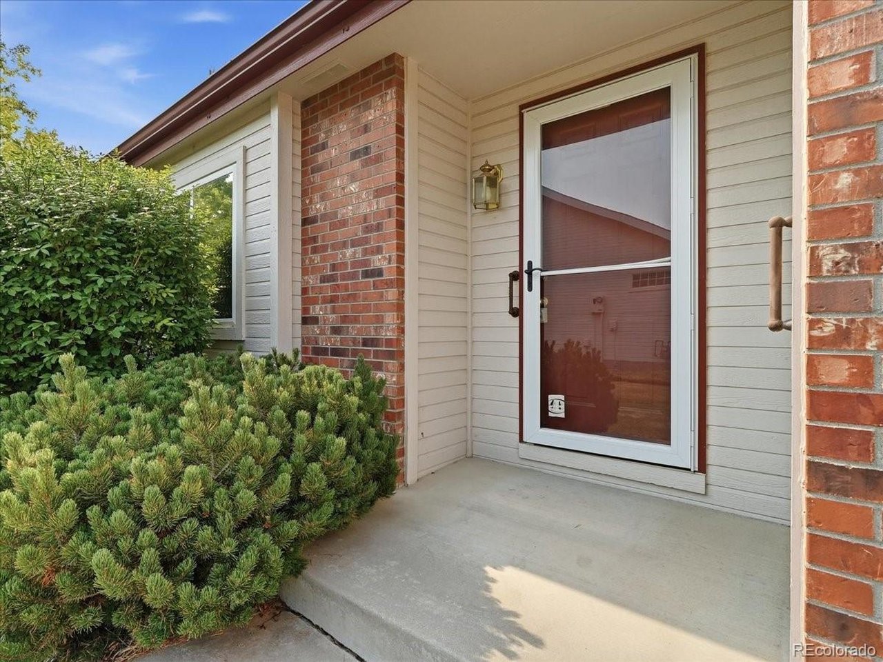 509 Radiant Drive