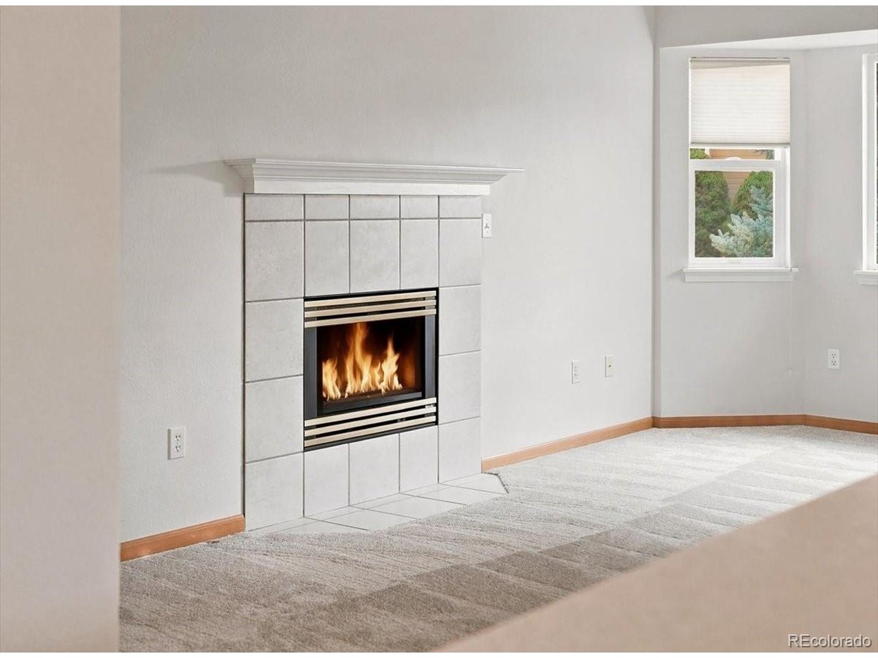 509 Radiant Drive