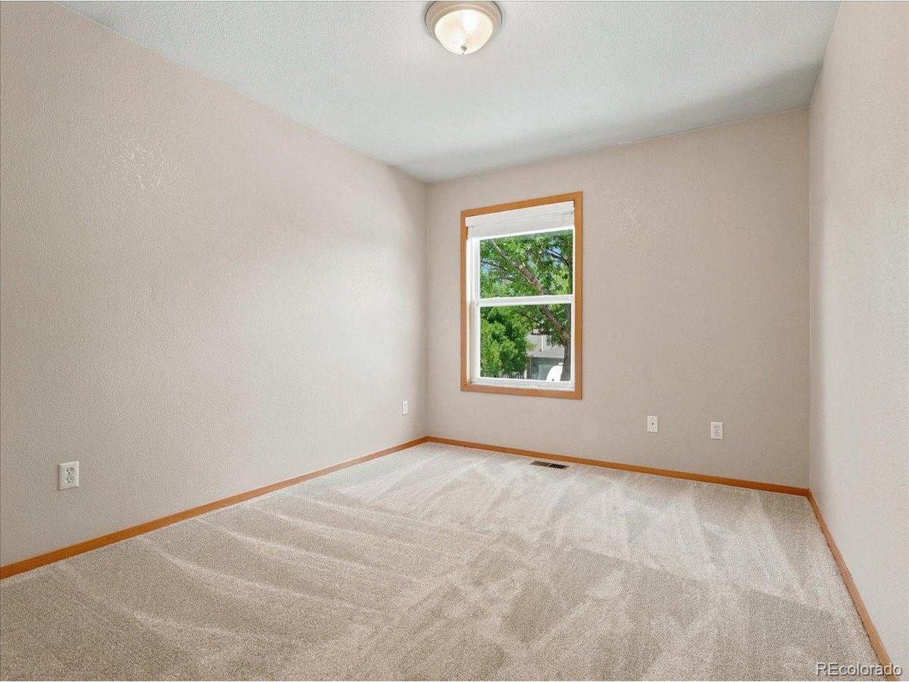 1515 Carmela Ct