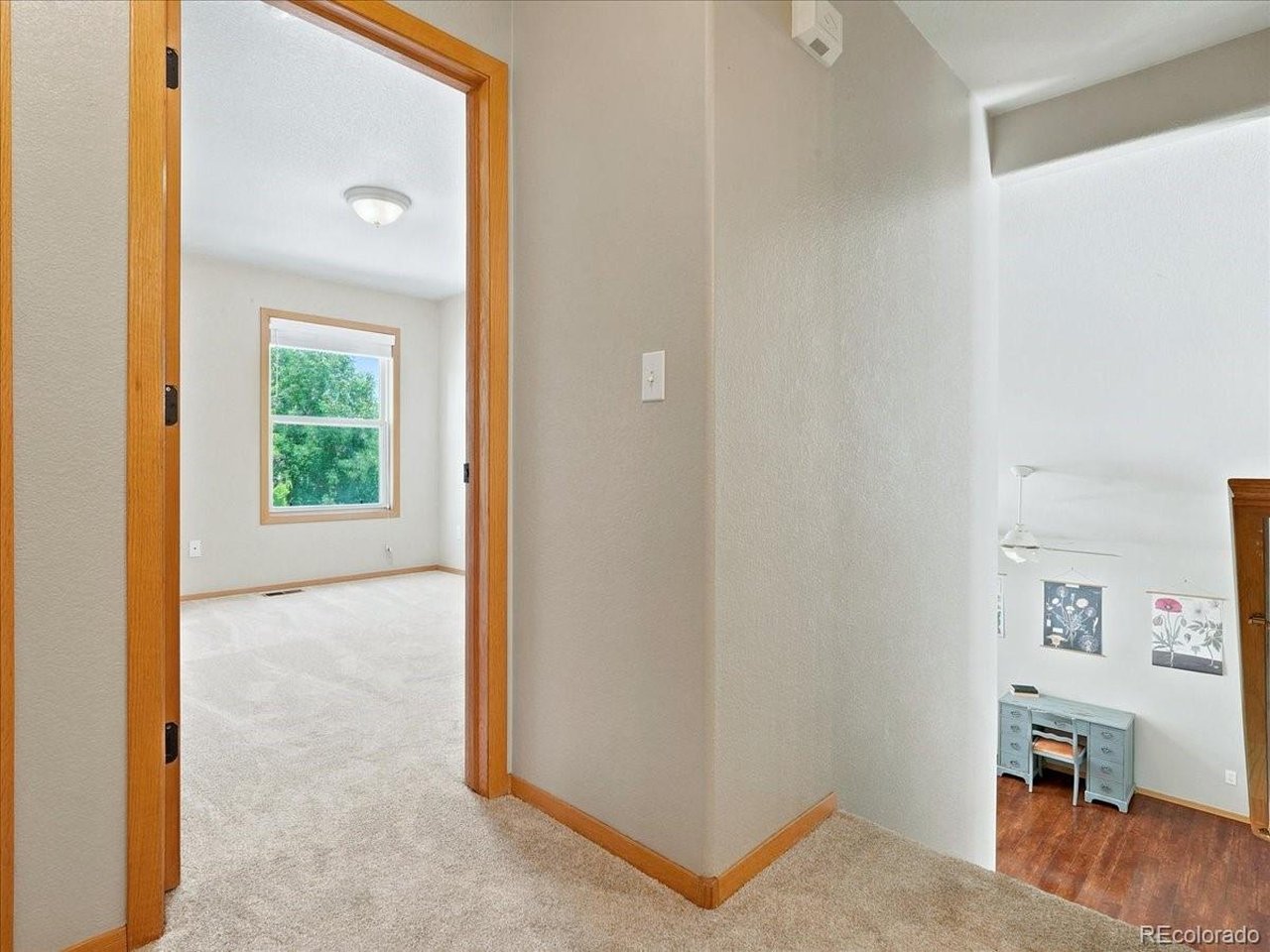 1515 Carmela Ct