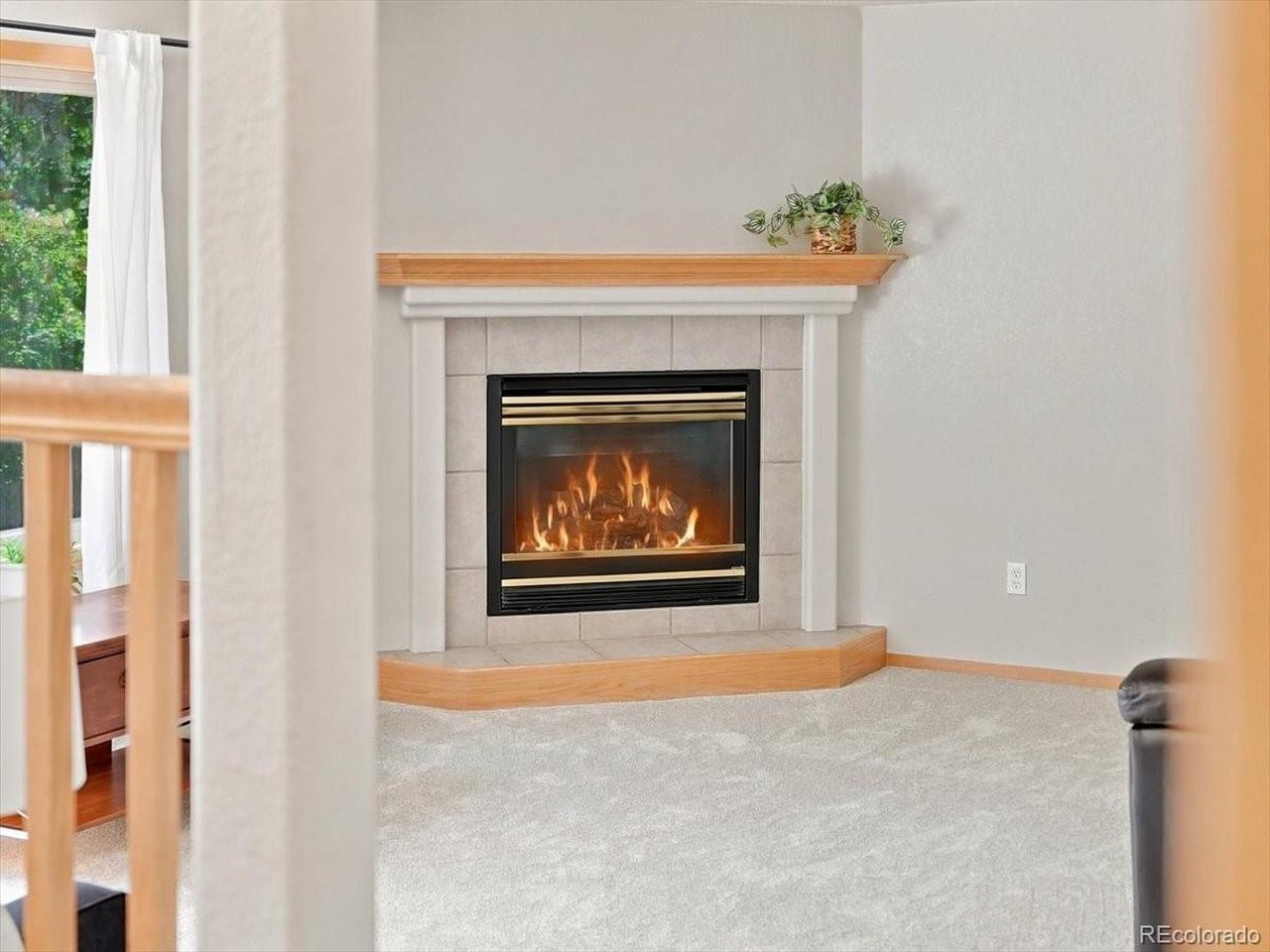 1515 Carmela Ct