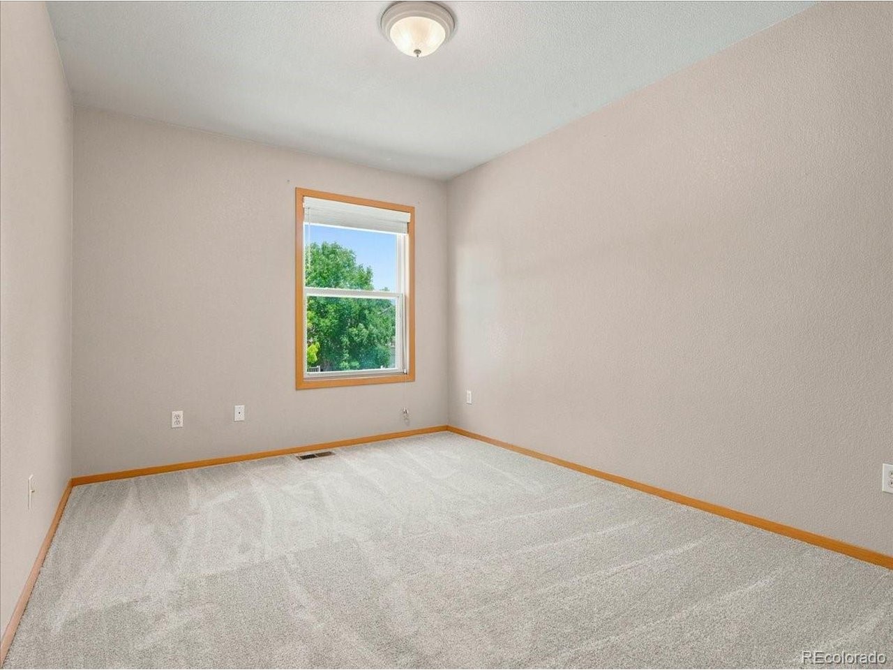 1515 Carmela Ct