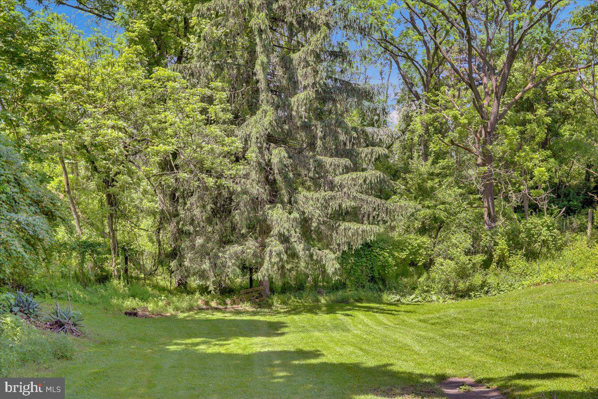1319 Sandhill Rd
