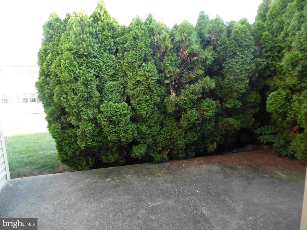 8 Scenic Dr