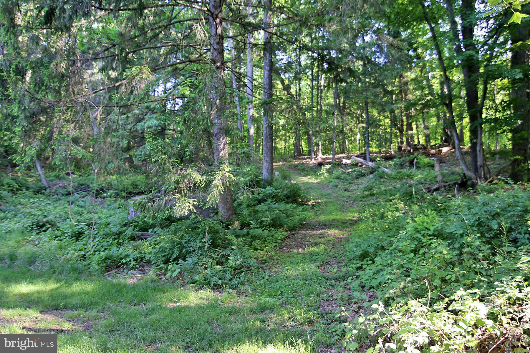 1061 Mine Rd