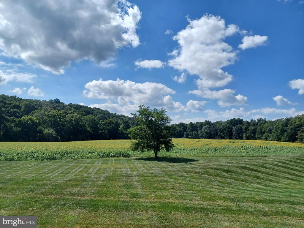 134 CREEK VIEW DRIVE