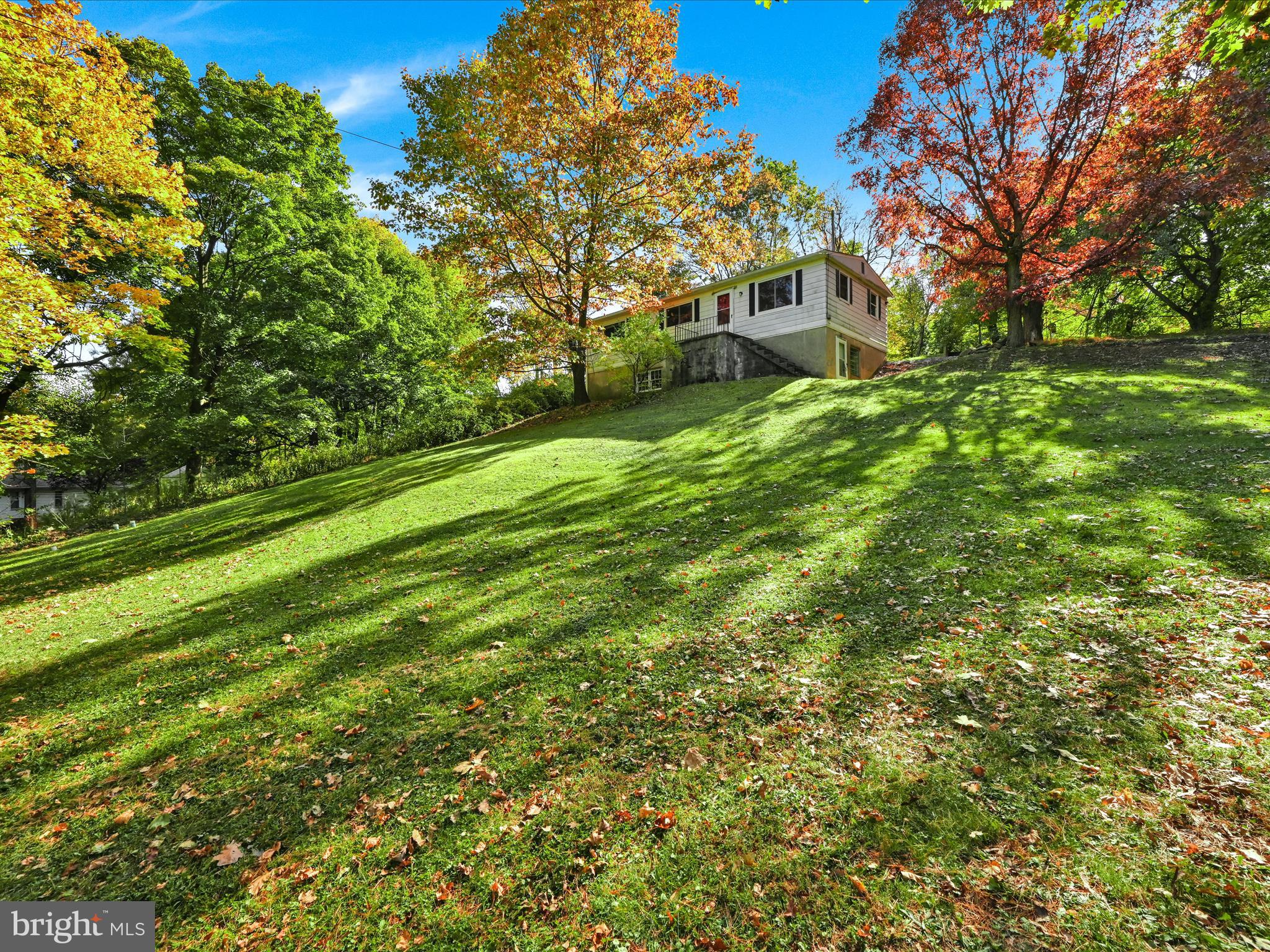 11 Rose Ln