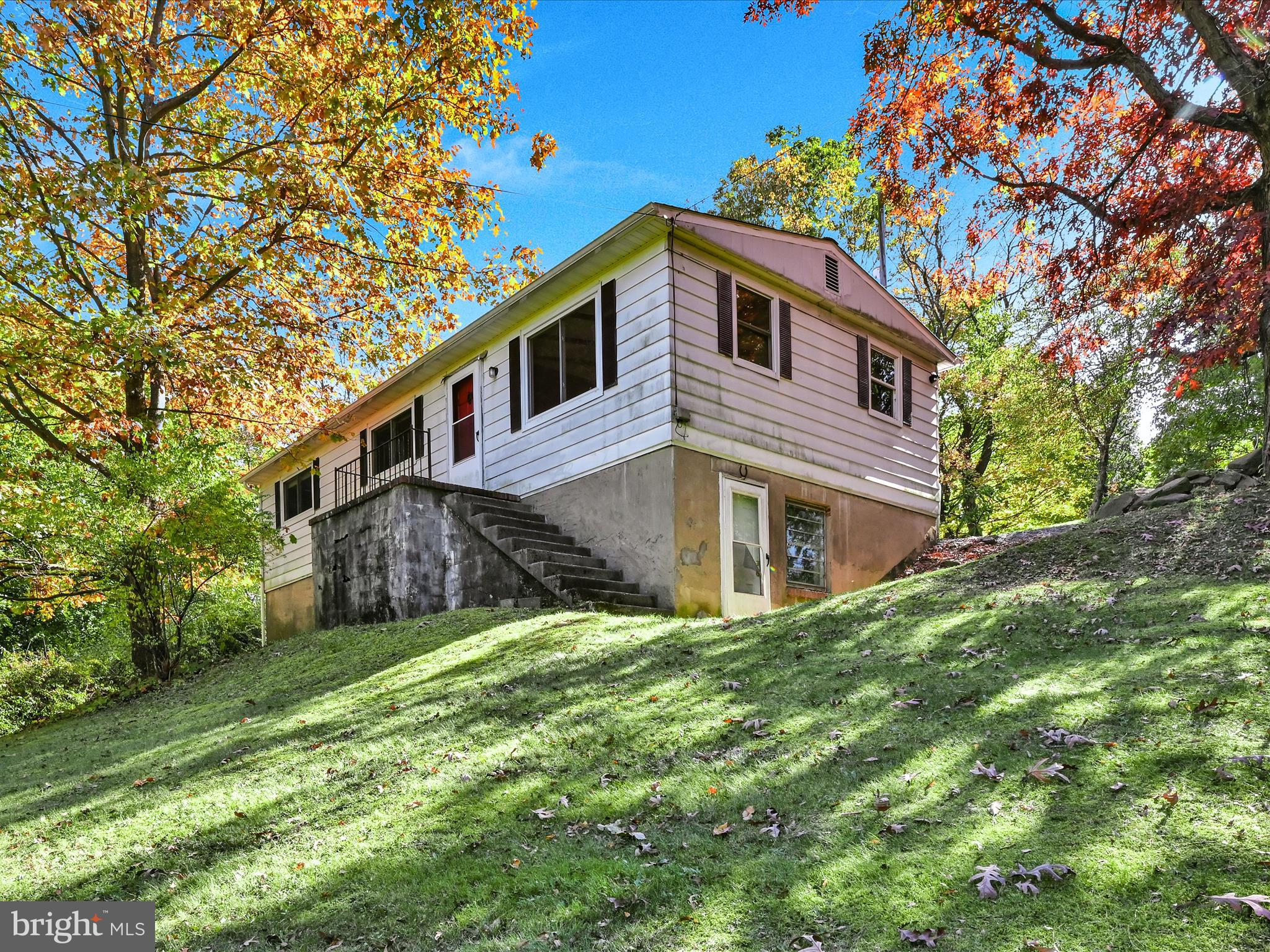 11 Rose Ln
