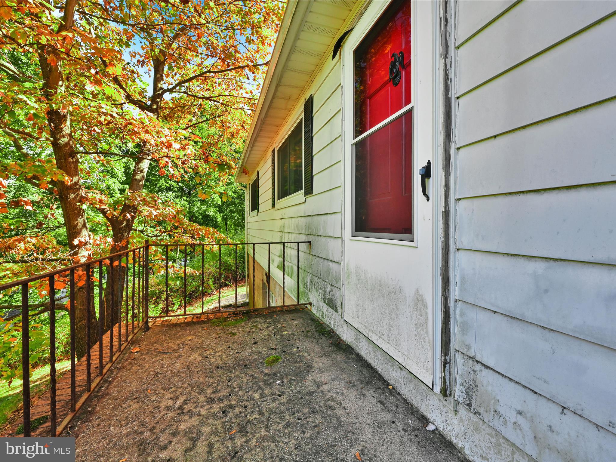11 Rose Ln