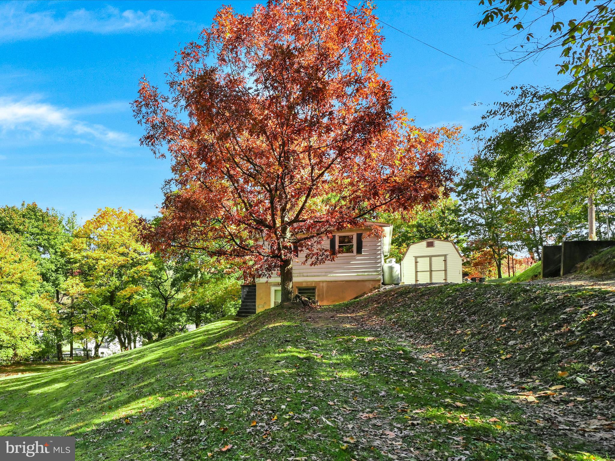 11 Rose Ln