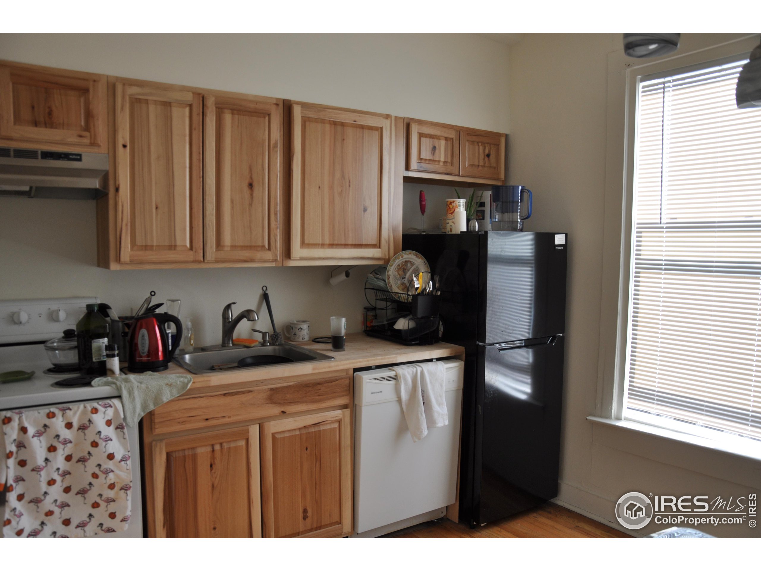 1725 Canyon Blvd Unit A & B