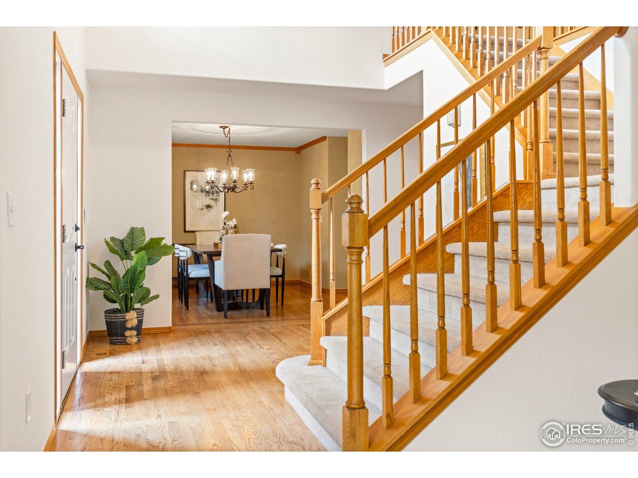 1401 Clover Creek Dr