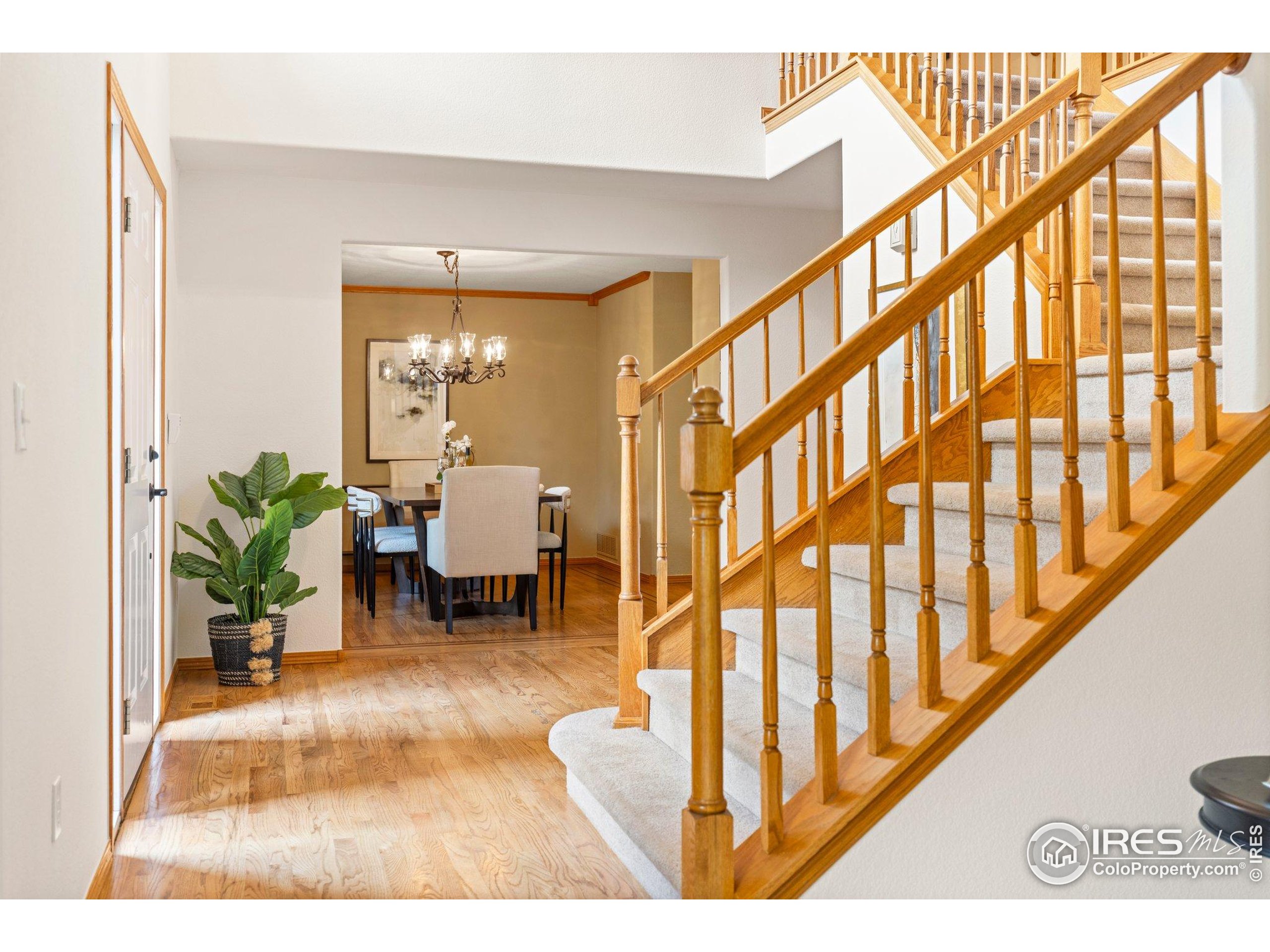 1401 Clover Creek Dr