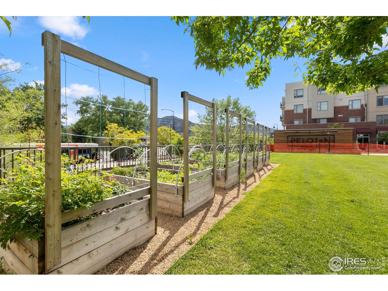 3401 Arapahoe Ave 420