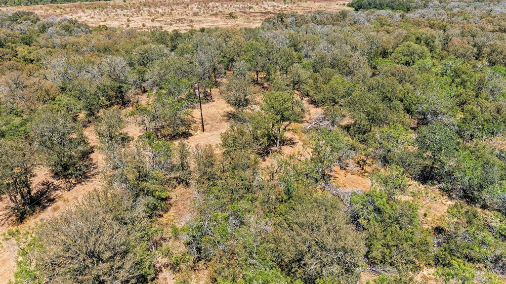 388 The Forest RD