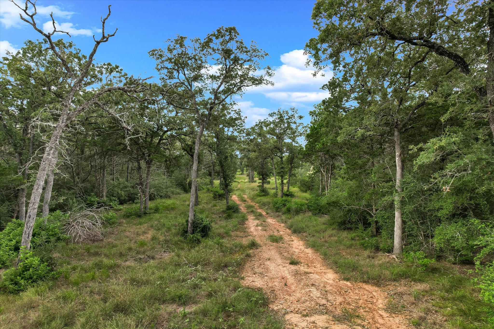 TBD Tracts 12-13 High Crossing RD