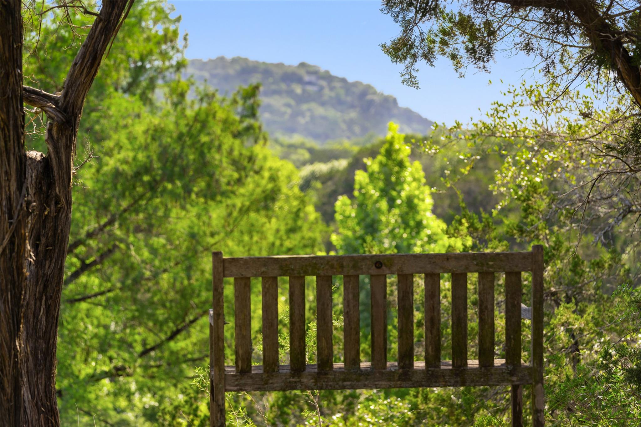 1601 Wild Basin Ledge