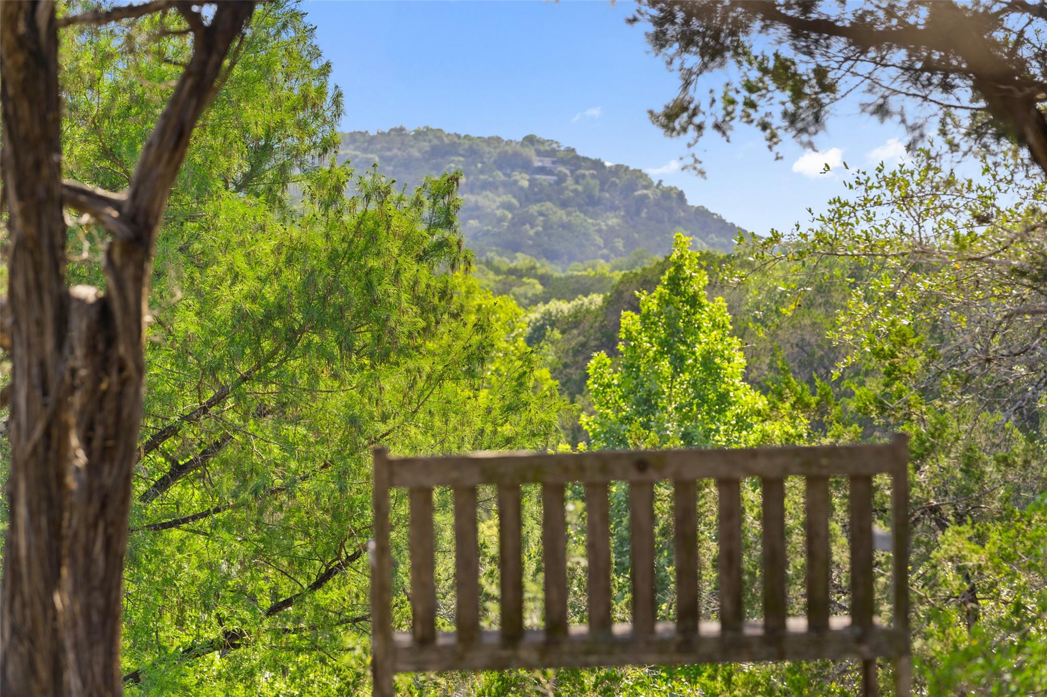 1601 Wild Basin Ledge