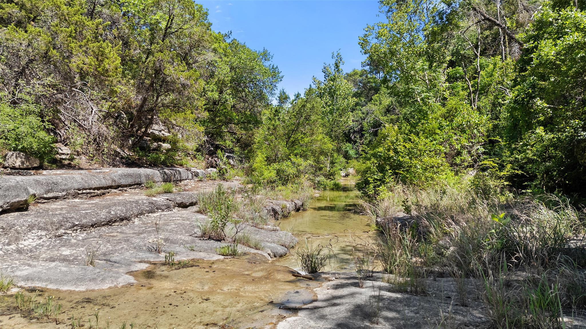1601 Wild Basin Ledge