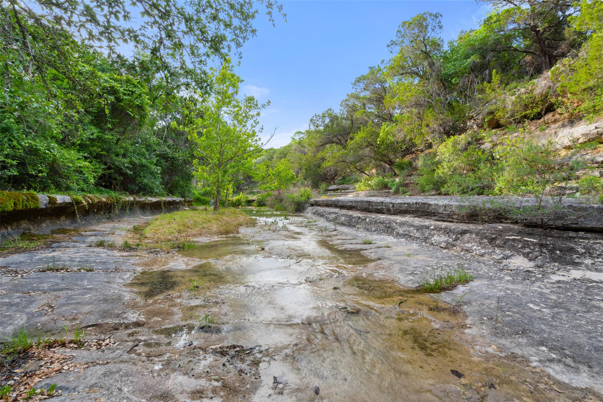 1601 Wild Basin Ledge