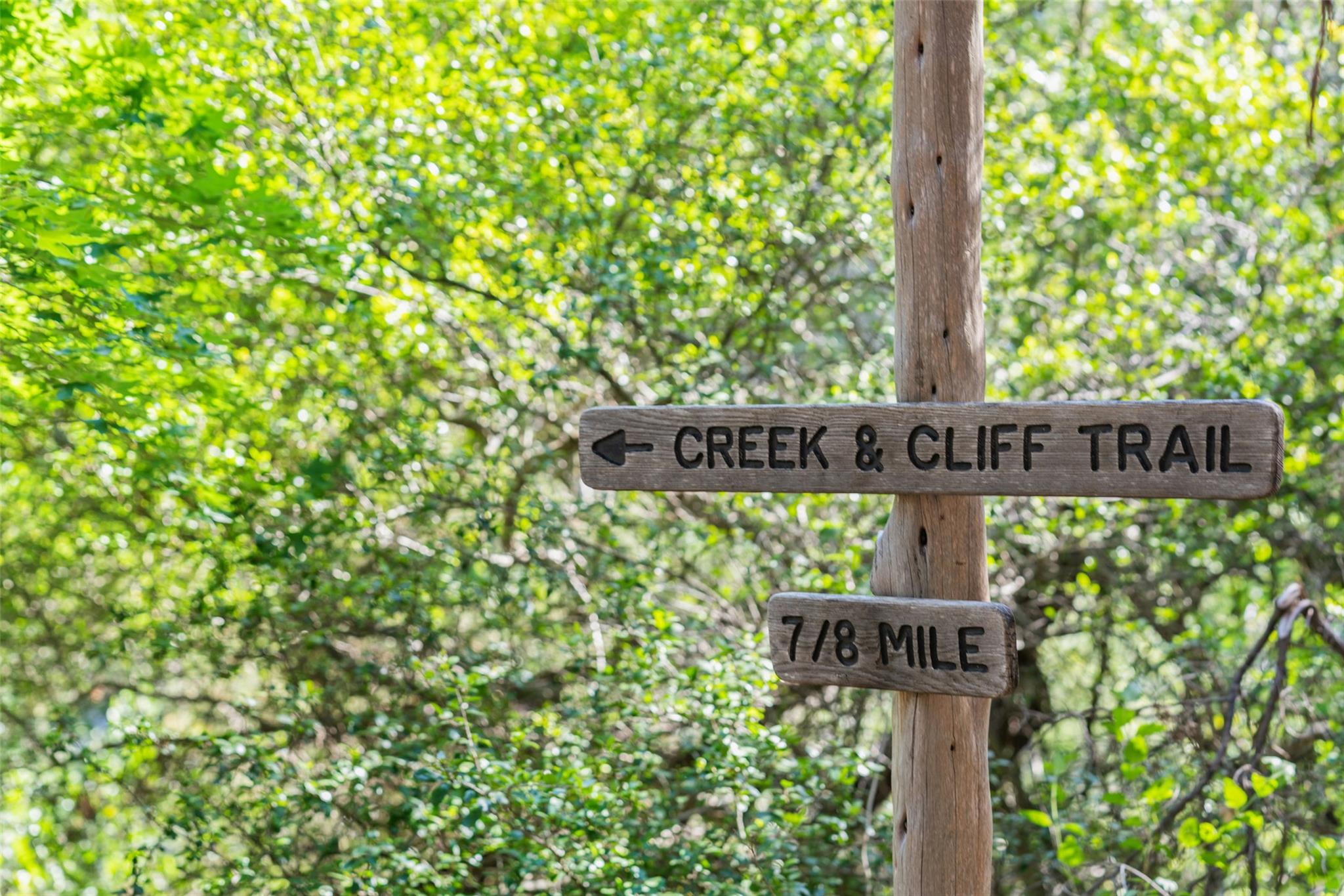 1601 Wild Basin Ledge