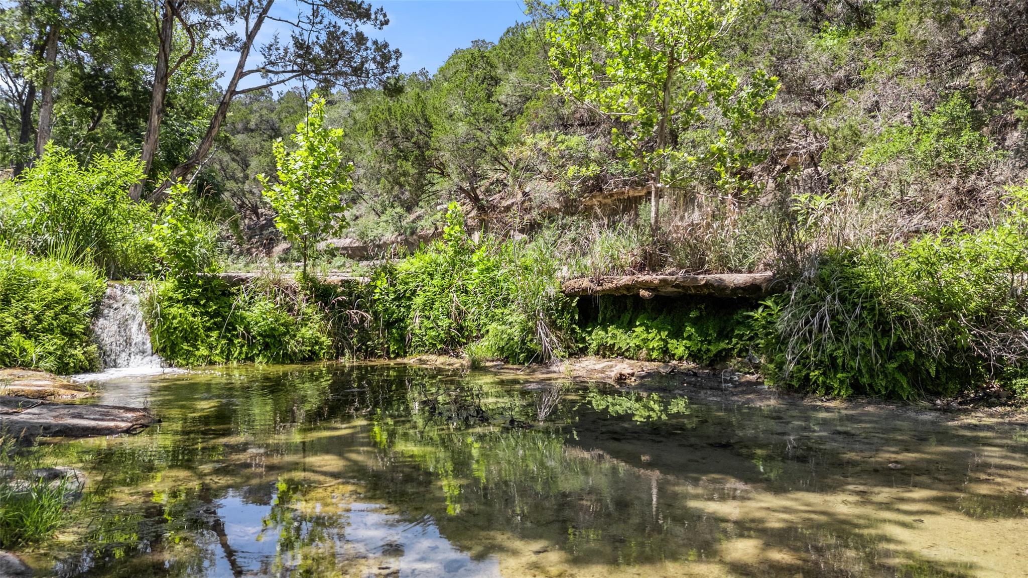 1601 Wild Basin Ledge