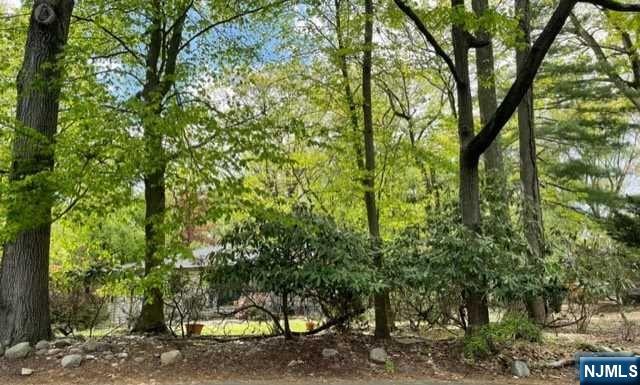 732 Orangeburgh Road