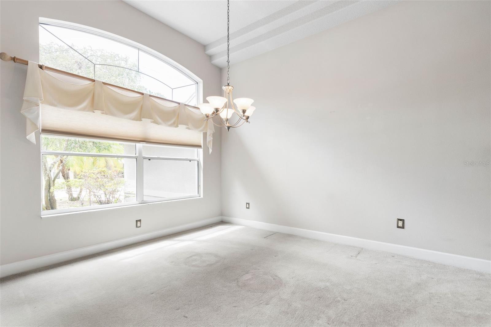81 BROWNSTONE LN