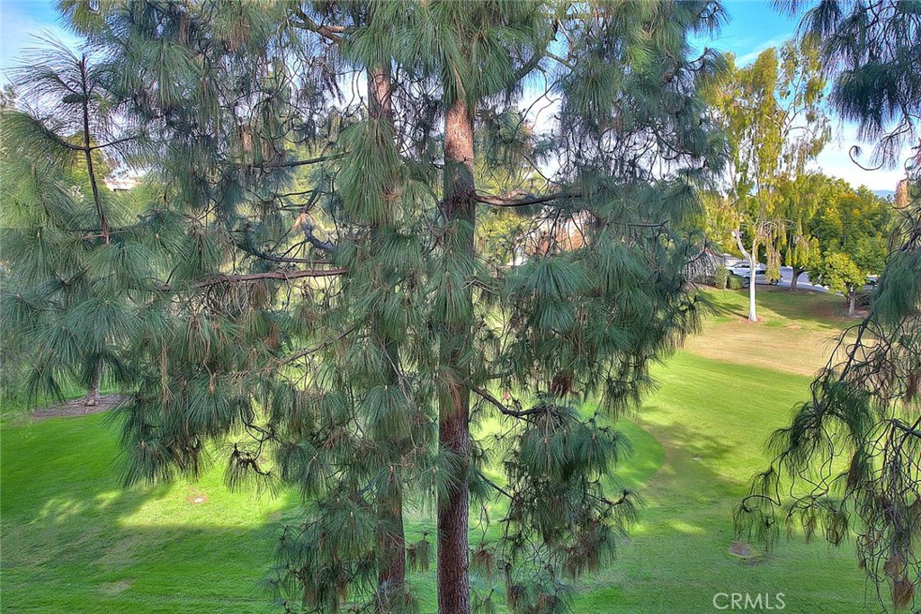 5517 Paseo Del Lago E 2B