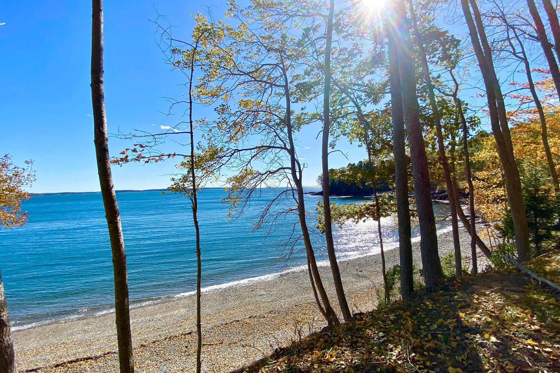 286 Atlantic Highway