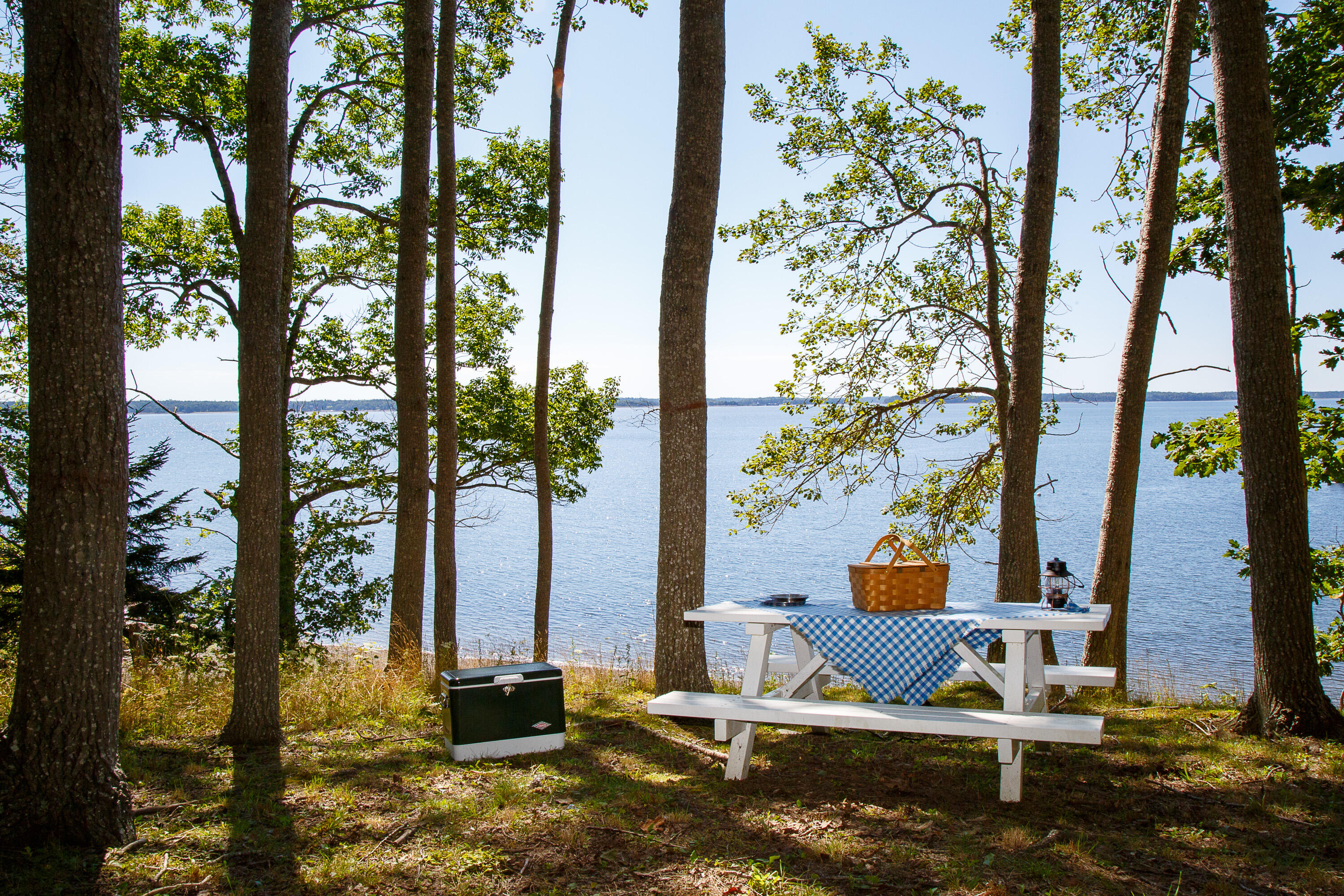 286 Atlantic Highway