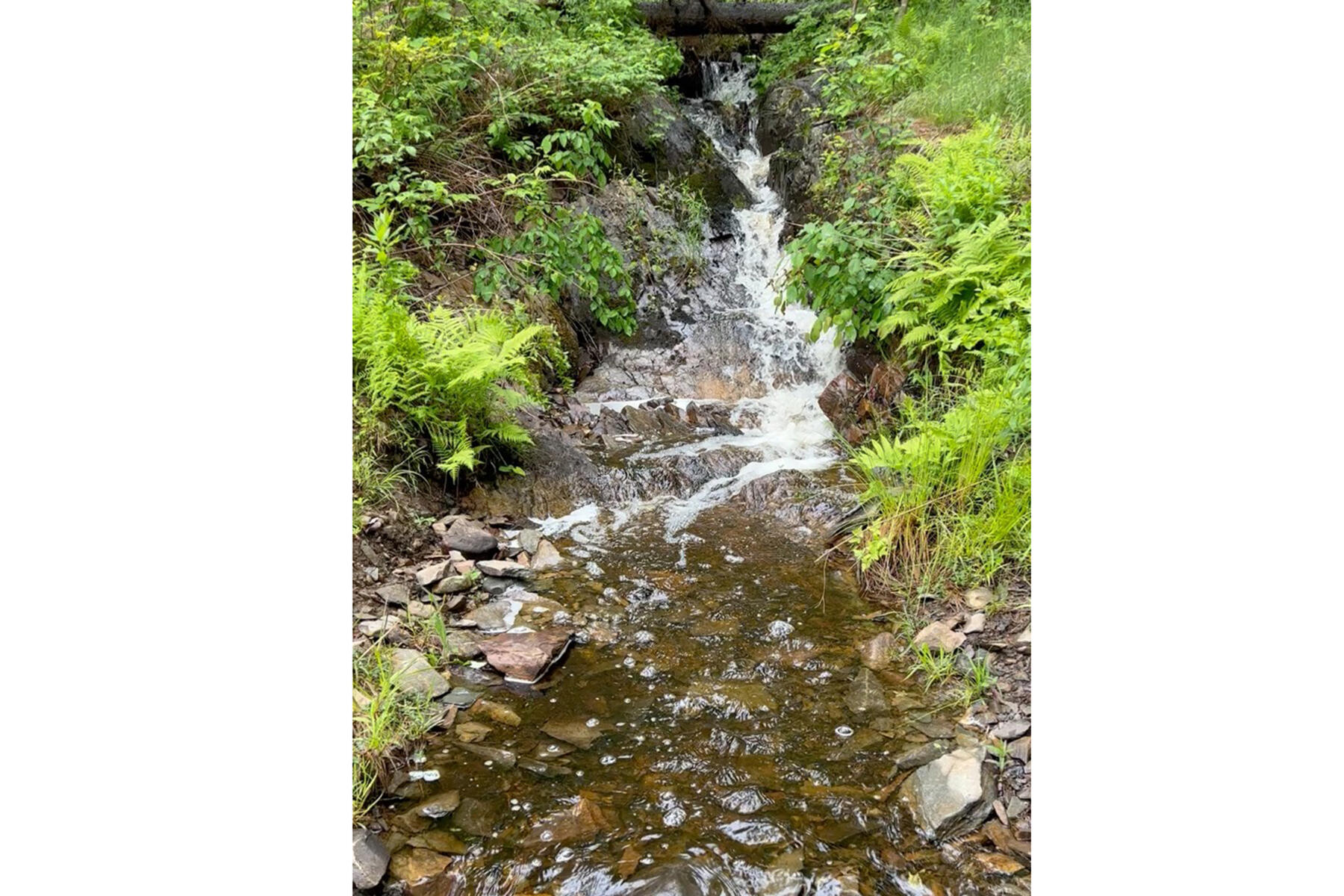 286 Atlantic Highway