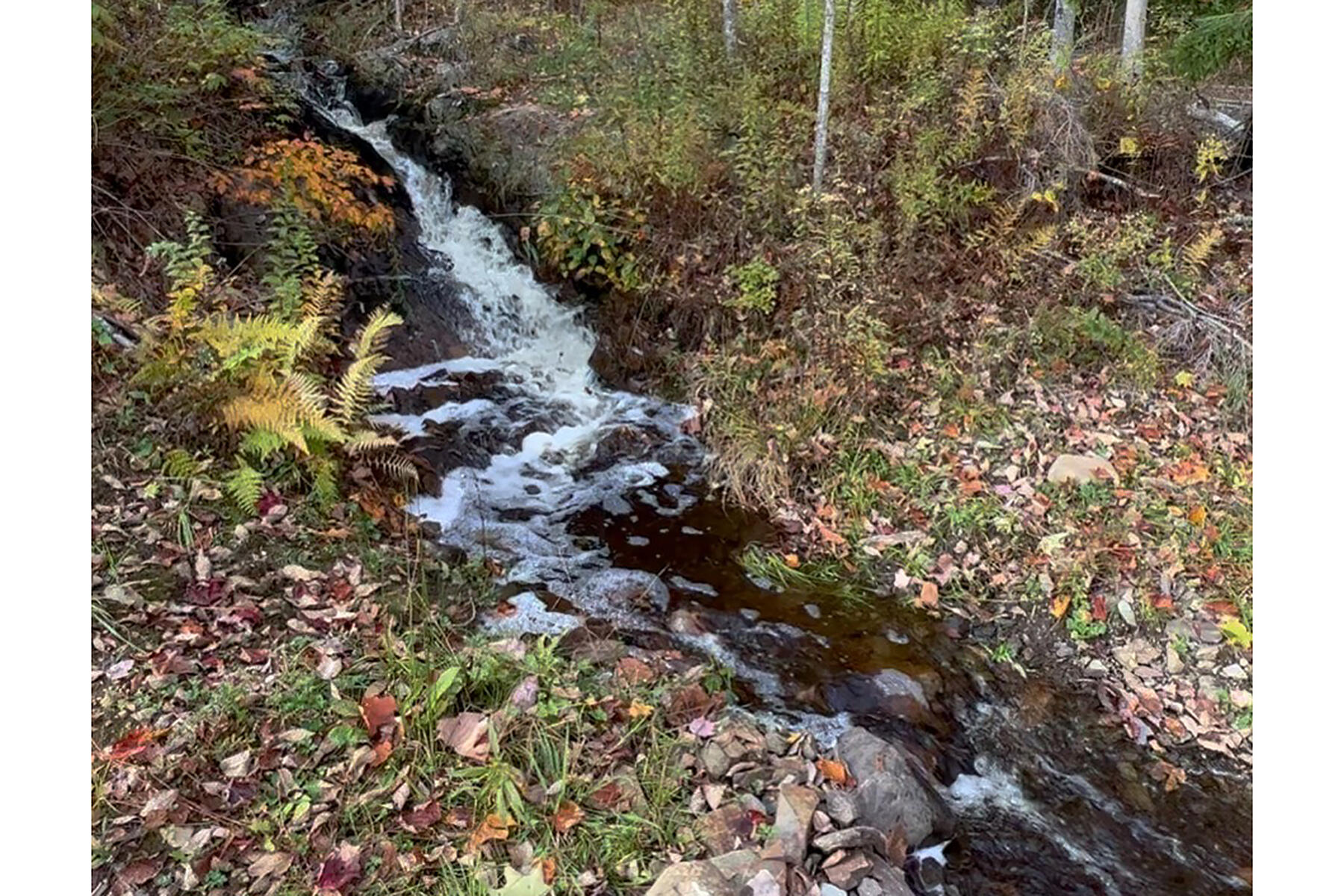 286 Atlantic Highway