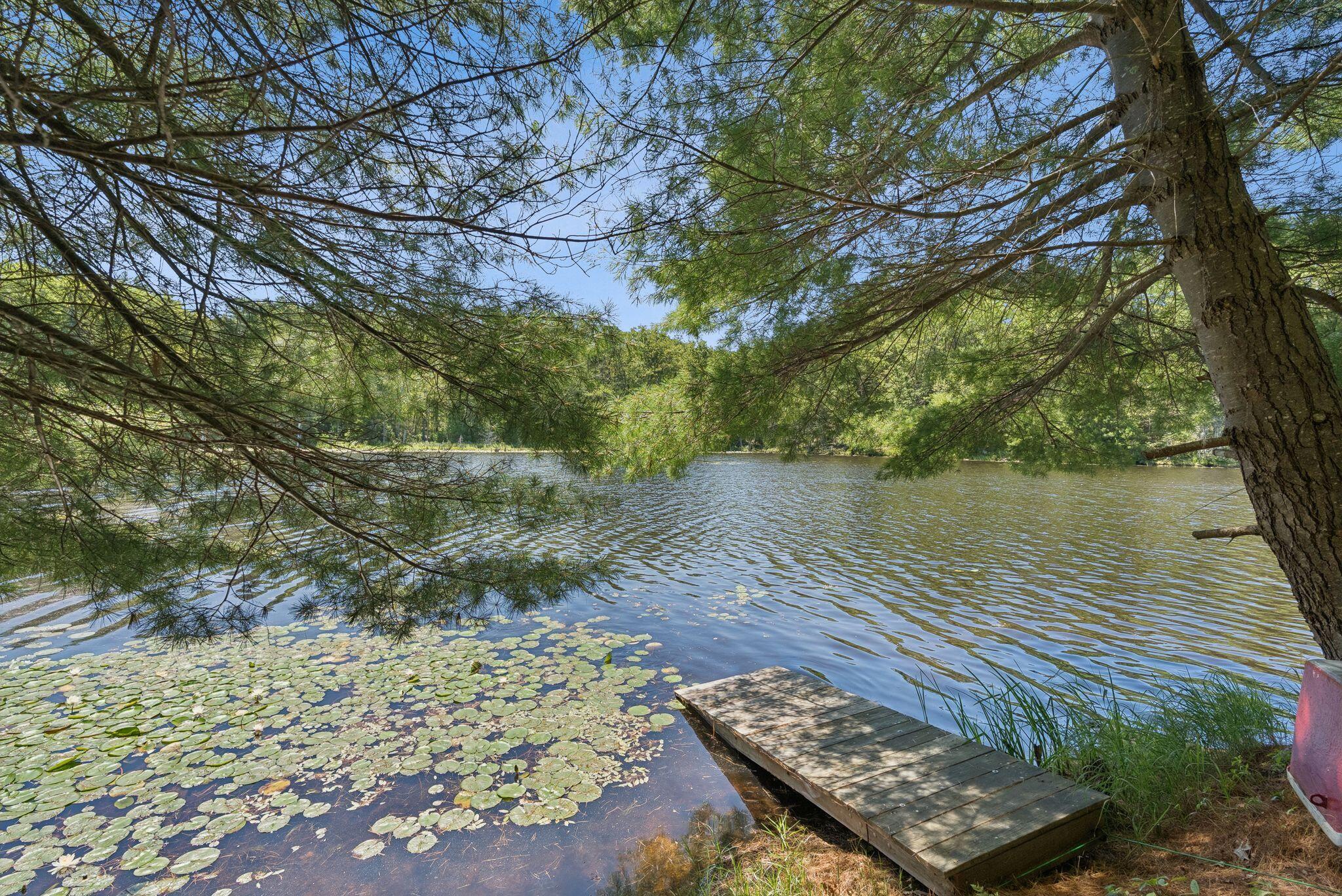 41 Beaver Lodge Lane