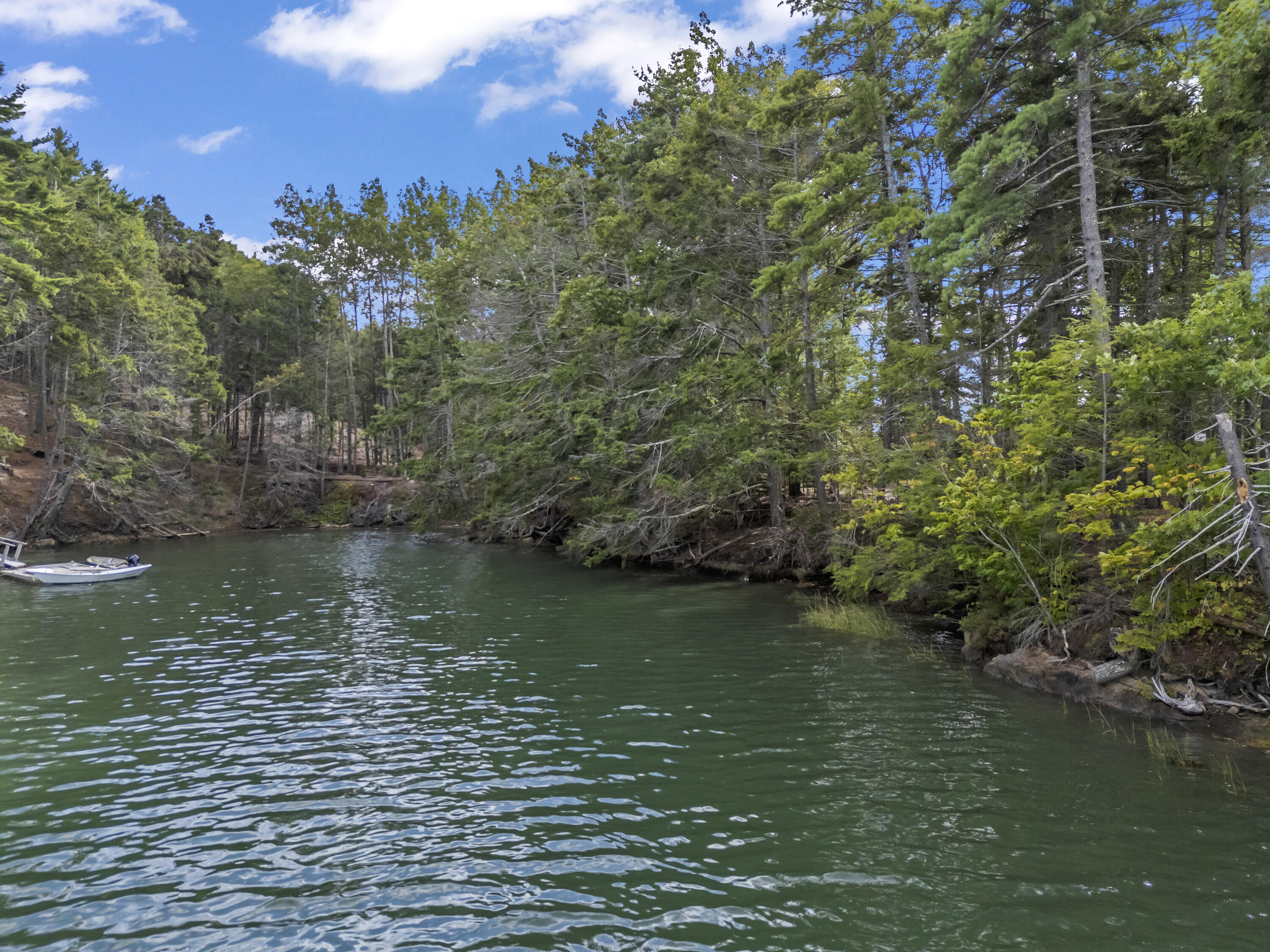 111 Rockweed Road