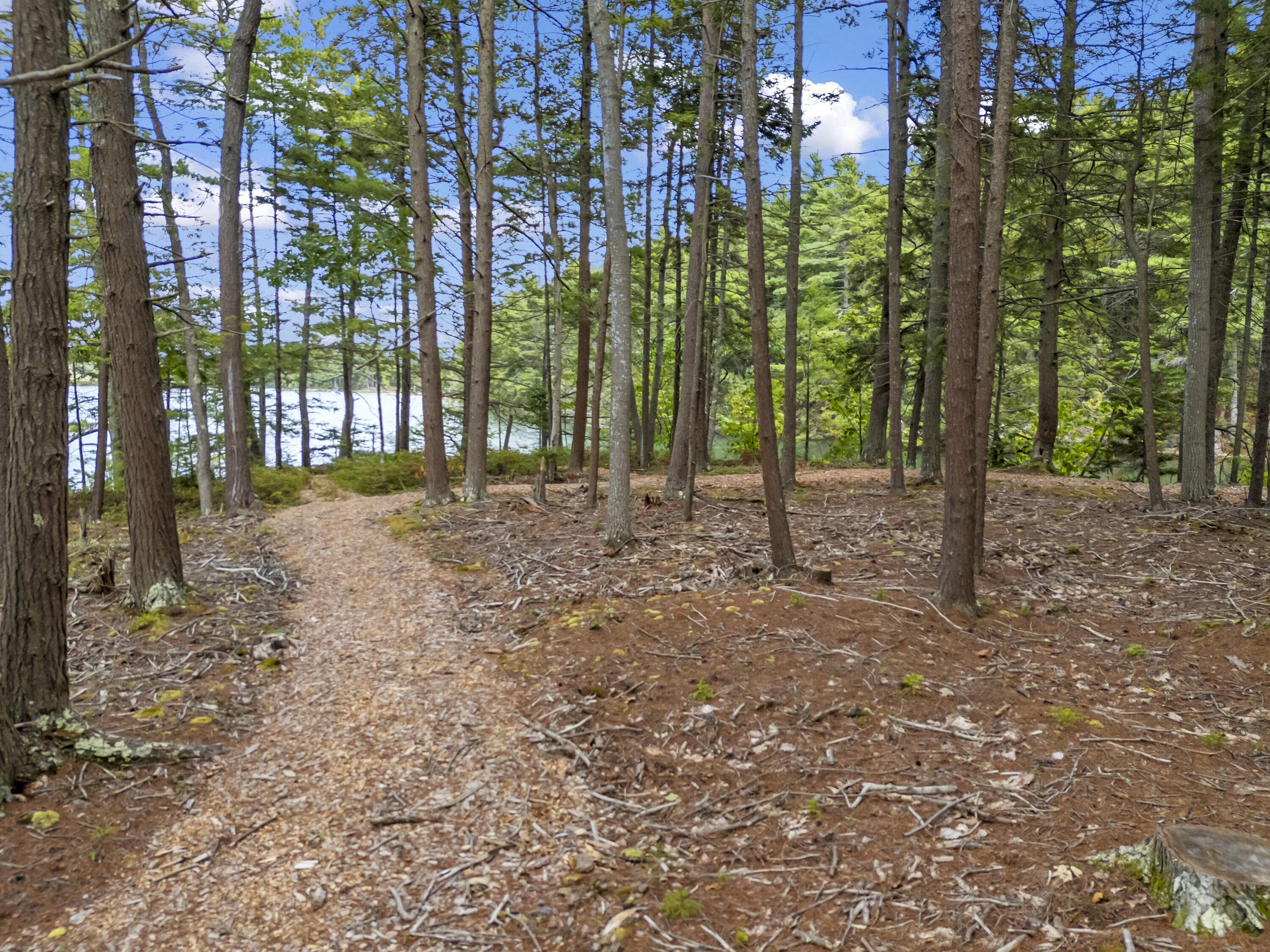 111 Rockweed Road