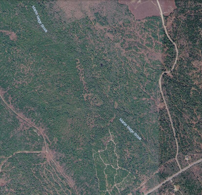 Map10Lot27 Blackswoods Road