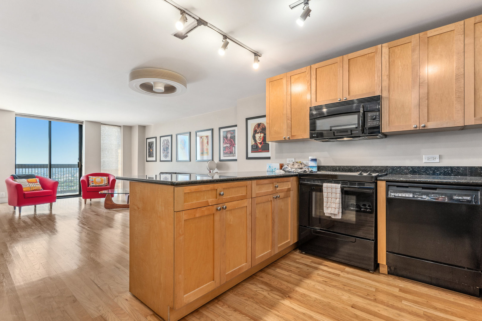 1660 N La Salle Street Unit: 4208