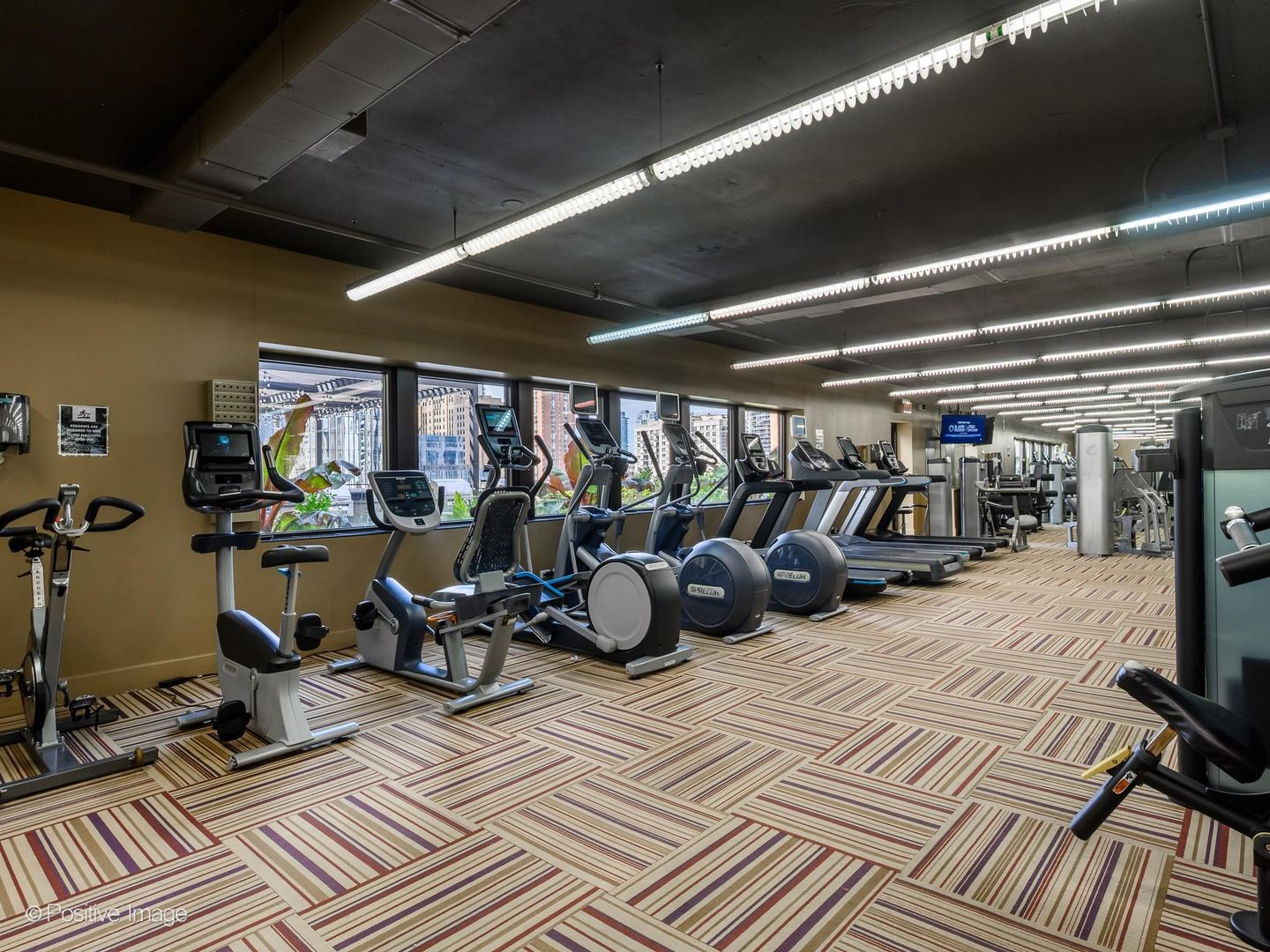 Building fitness center with rows of cardio machines beside large windows.