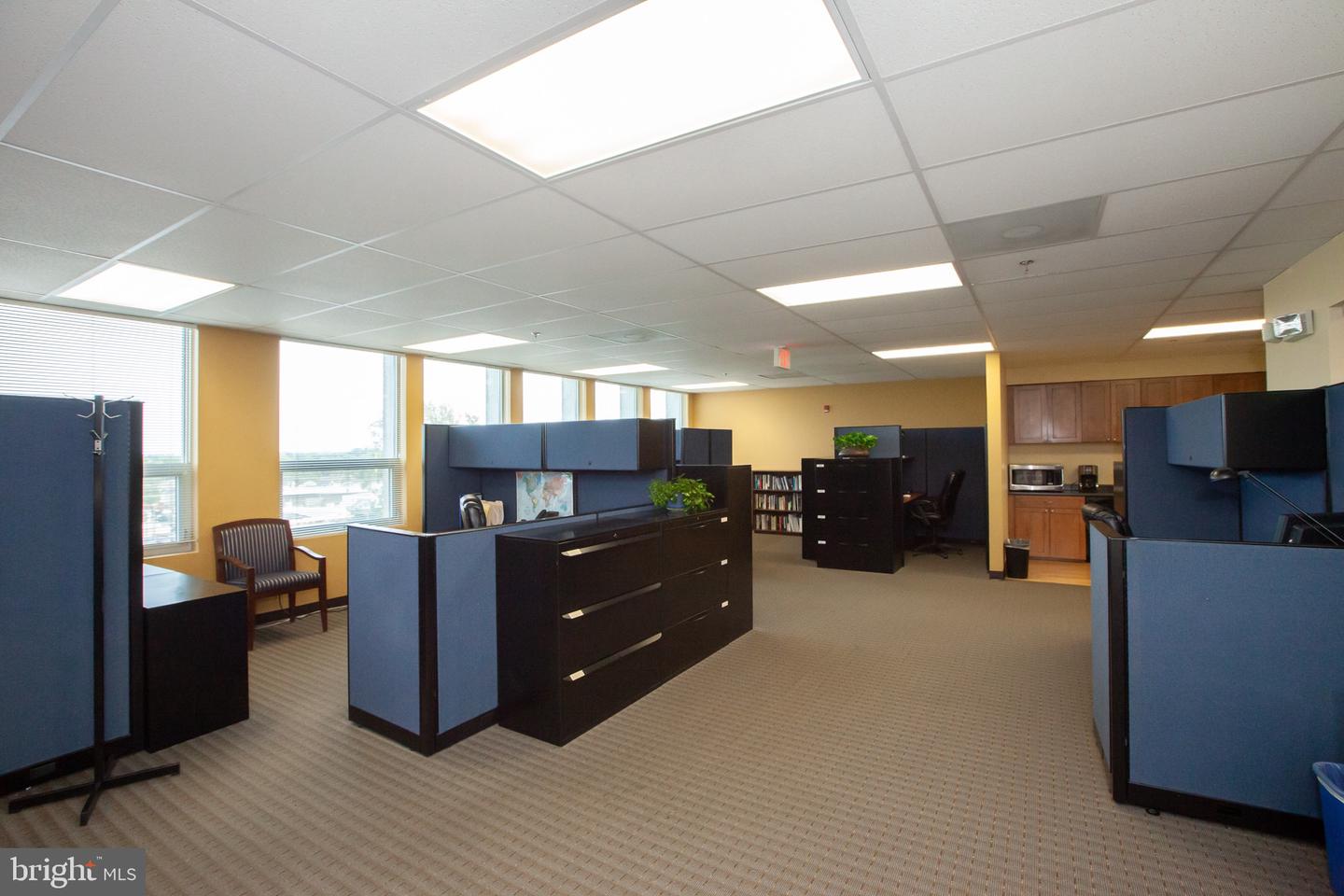 7115 Leesburg Pike #304-306