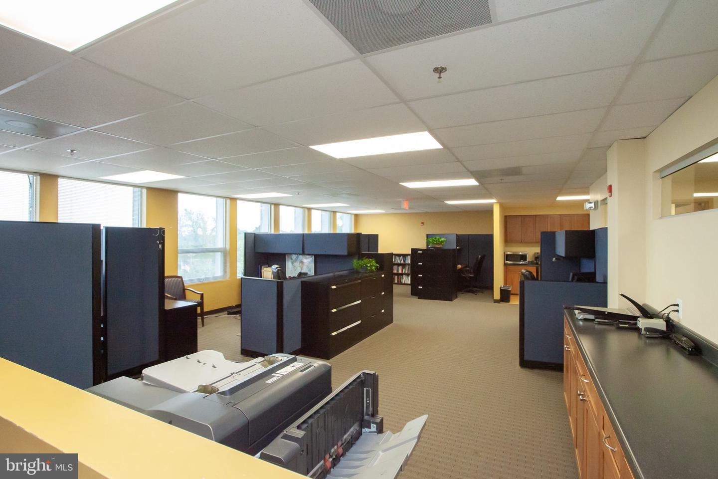 7115 Leesburg Pike #304-306