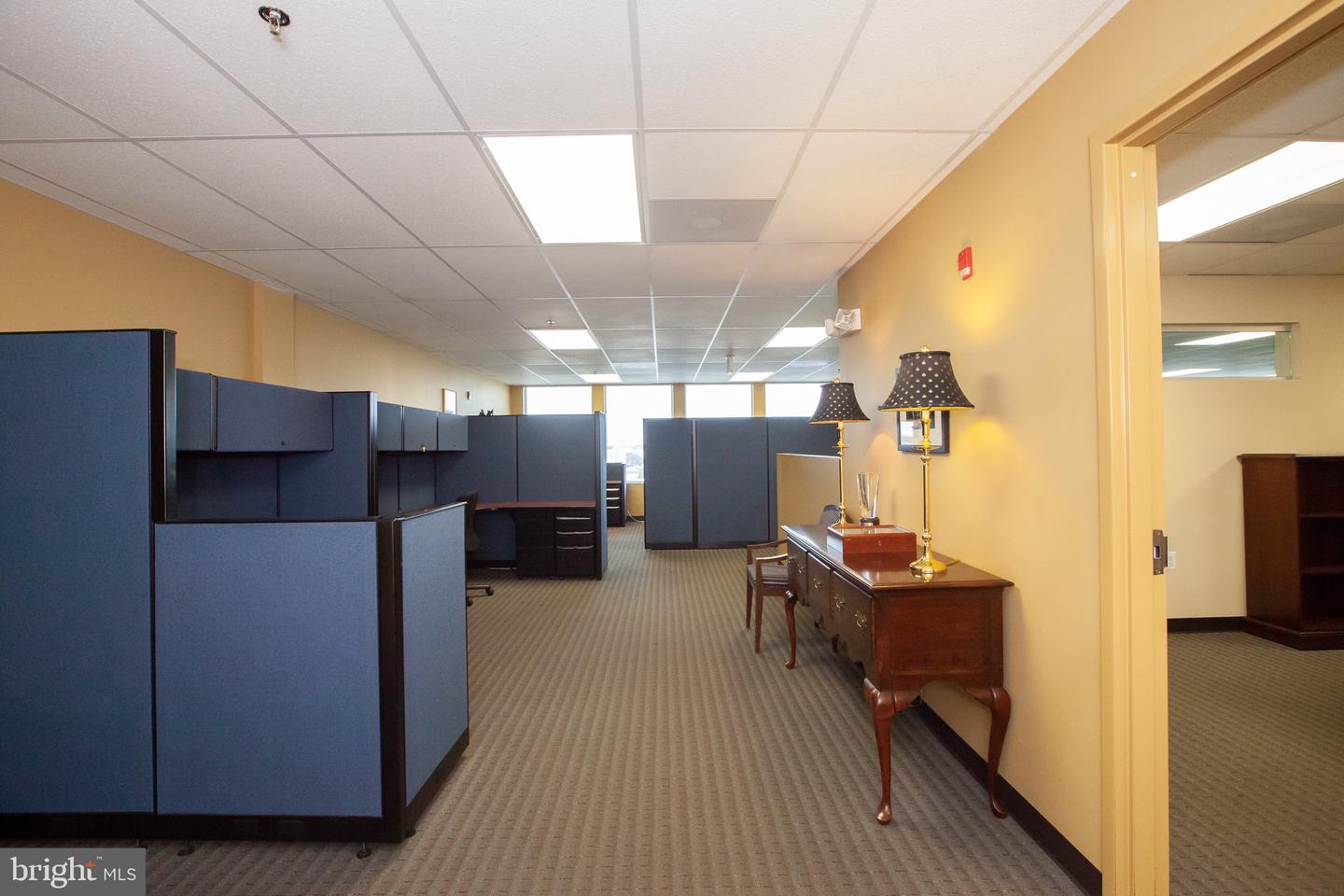 7115 Leesburg Pike #304-306