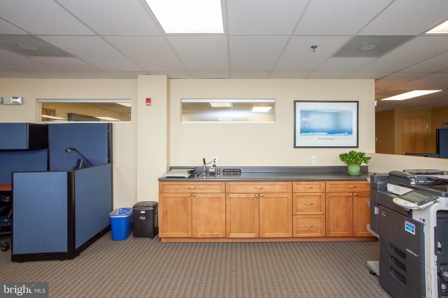 7115 Leesburg Pike #304-306