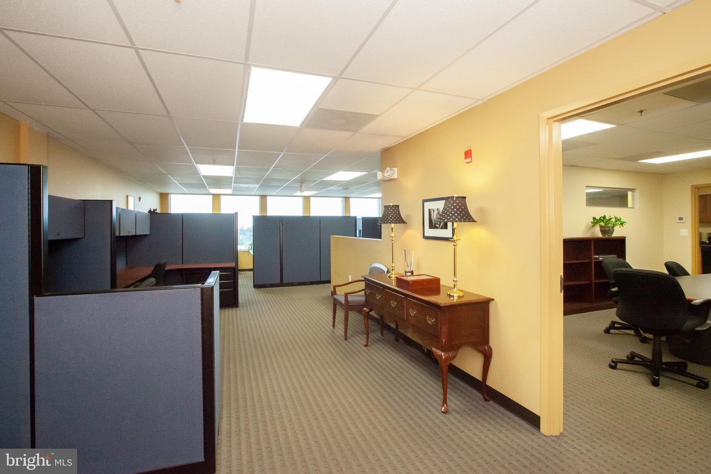 7115 Leesburg Pike #304-306