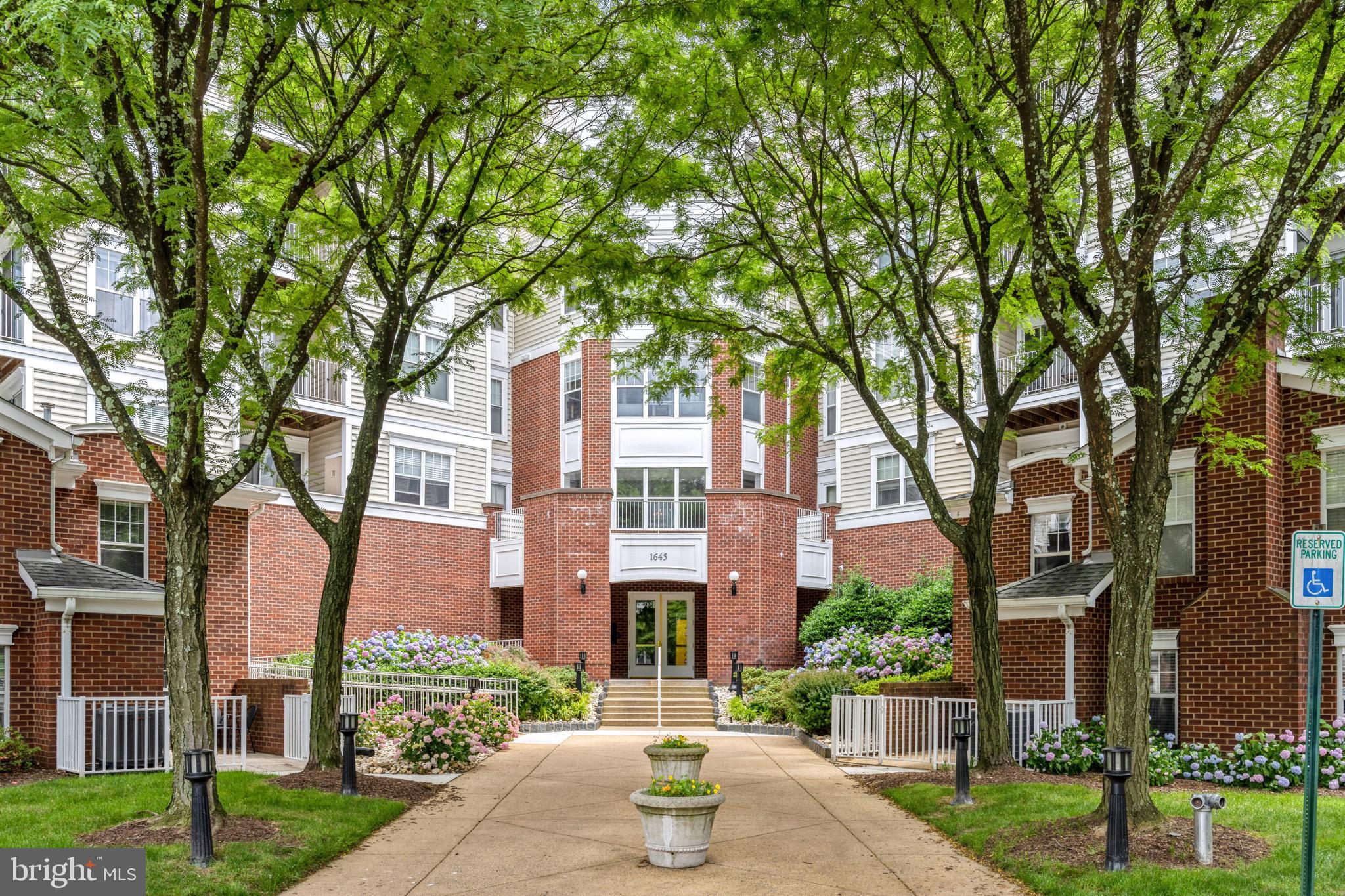 1645 International Dr #421